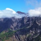 Natur überwindet Gewohnheit 