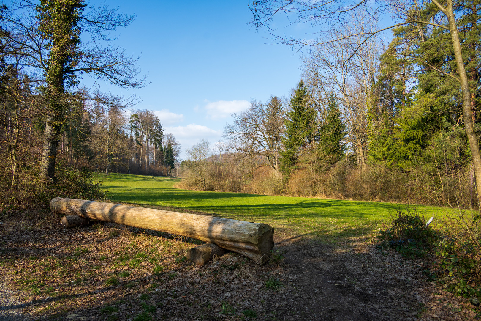 Natur Umgebung