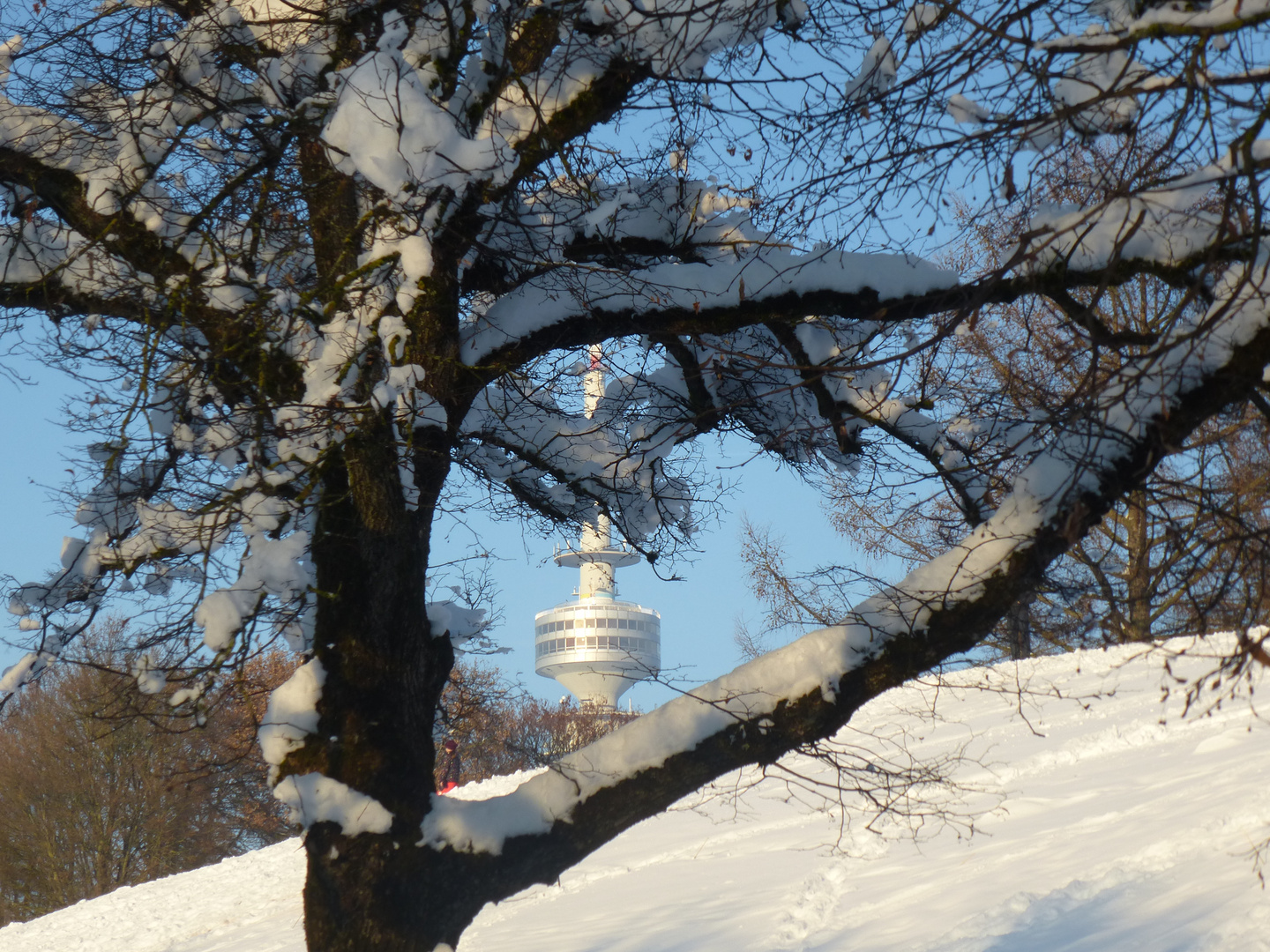 Natur und Architektur