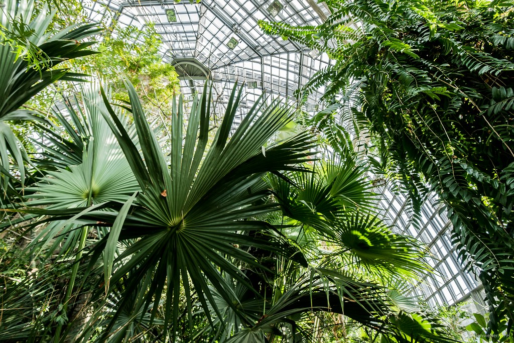 Natur und Architektur. Eine faszinierende Symbiose.