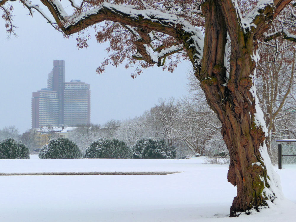 Natur und Architektur im Winter