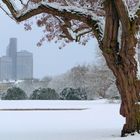 Natur und Architektur im Winter