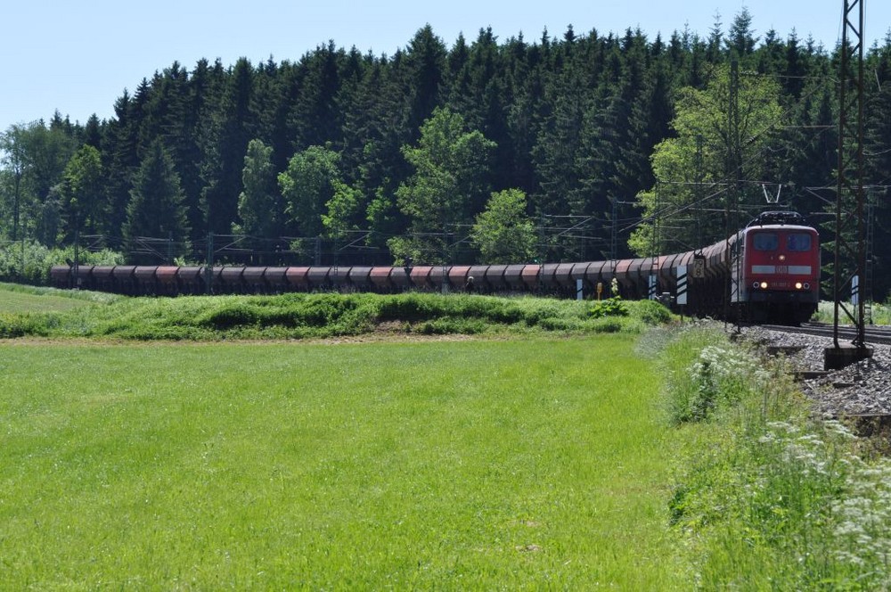 Natur und Bahn im Einklang