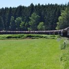 Natur und Bahn im Einklang