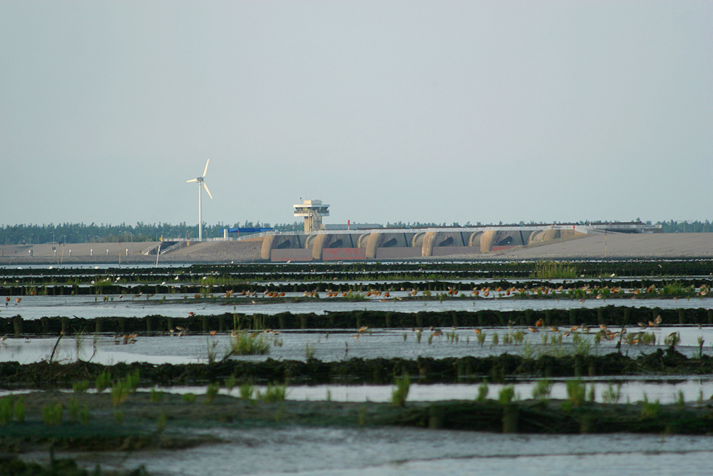 Natur und Bollwerk