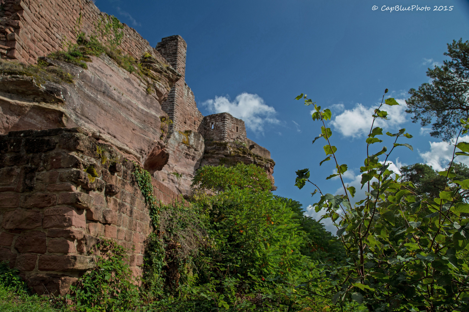 Natur und Burg Altdahn Grafendahn Tanstein