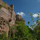 Natur und Burg Altdahn Grafendahn Tanstein