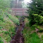 Natur ... und doch mitten in der Stadt