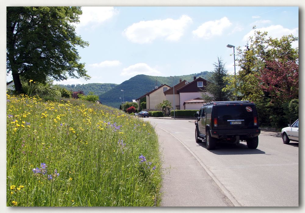 Natur und ...... - etwas zum Suchen