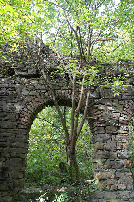 Natur und Fabrik