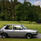 Natur und Golf GTI