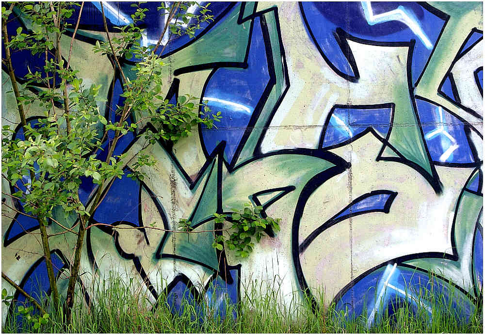 Natur und Graffiti