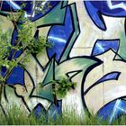 Natur und Graffiti