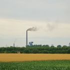 Natur und Industrie