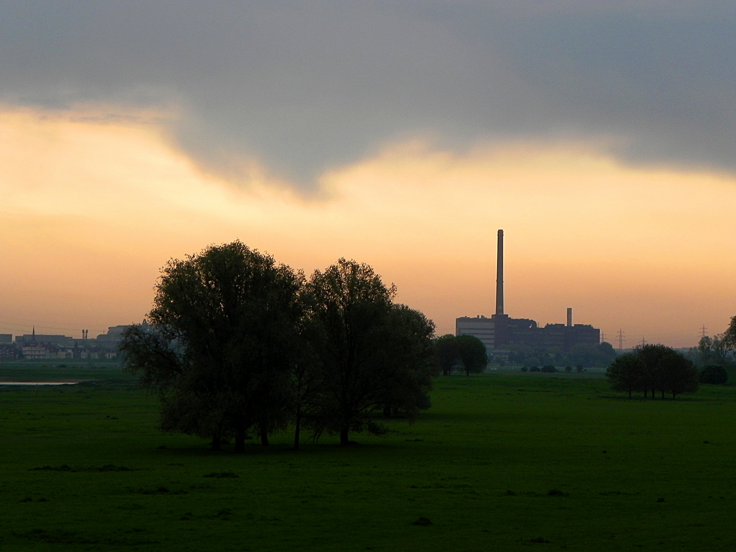 Natur und Industrie am Rhein