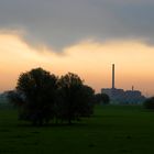 Natur und Industrie am Rhein