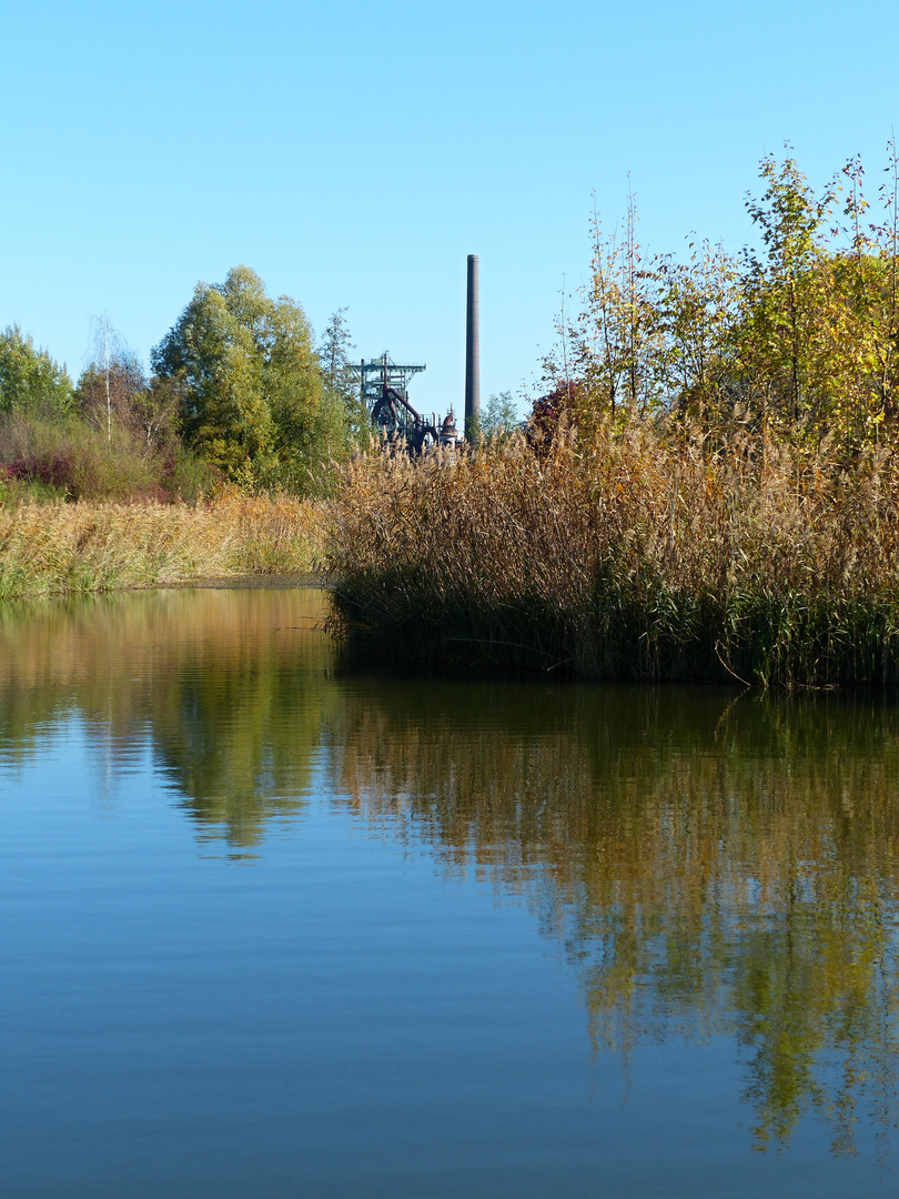 Natur und Industrie