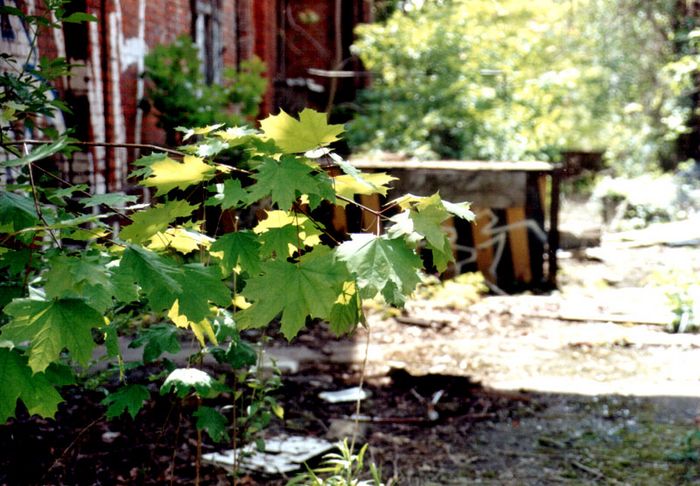 Natur und Industrie