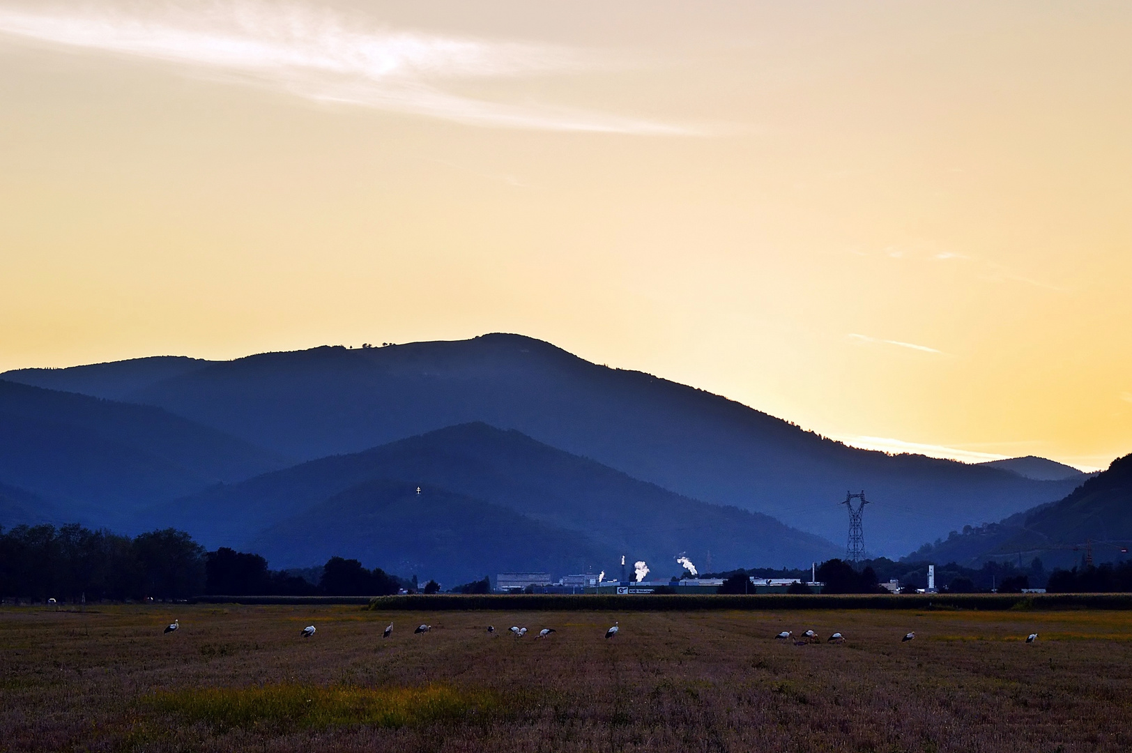 Natur und Industrie