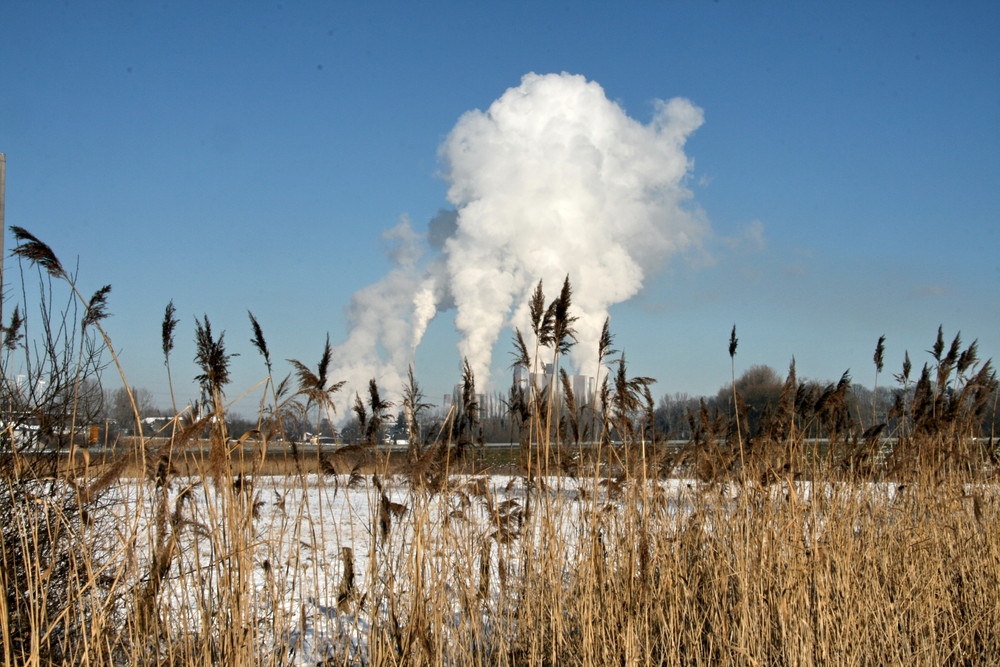 Natur und Industrie im Einklang.