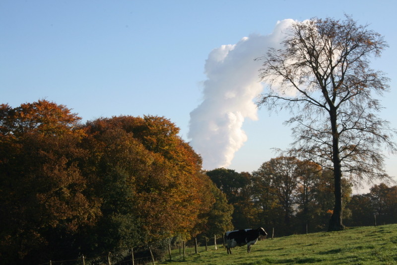 Natur und Kohlekraftwerk..