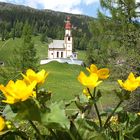 Natur und Kultur im Obernbergtal