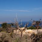 Natur und Landschaft auf Kos