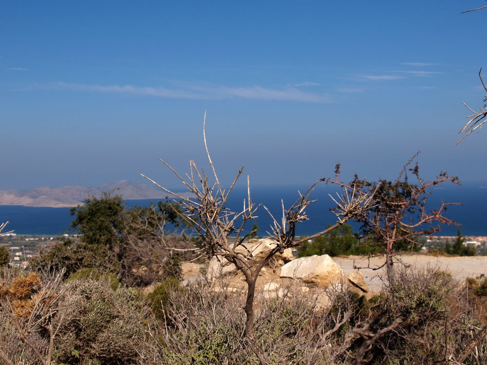 Natur und Landschaft auf Kos