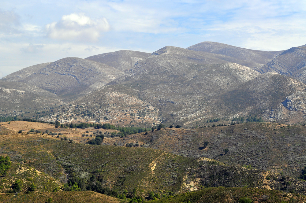 Natur und Landschaft auf Rhodos (3)