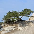 Natur und Landschaft auf Rhodos (7)