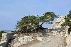 Natur und Landschaft auf Rhodos (7)