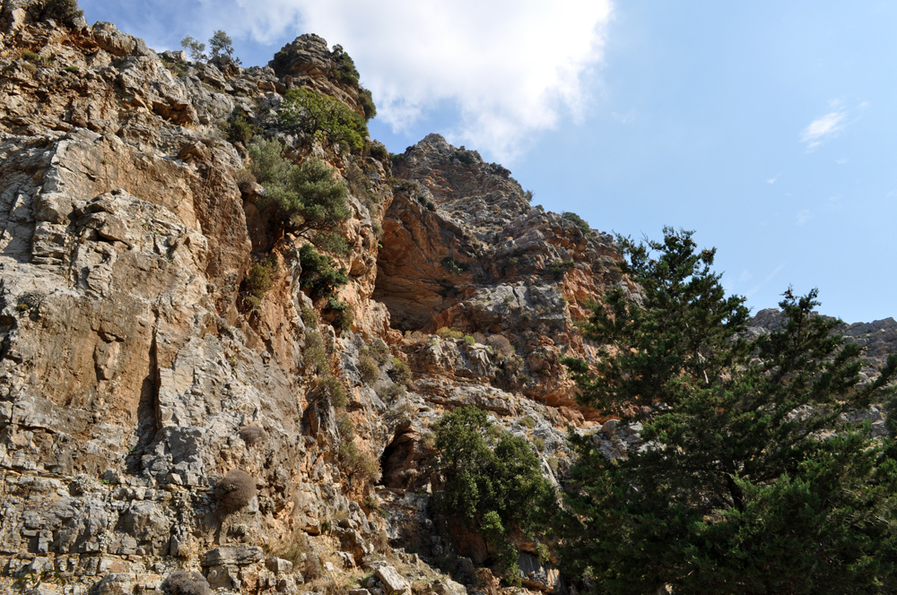 Natur und Landschaft auf Rhodos (8)