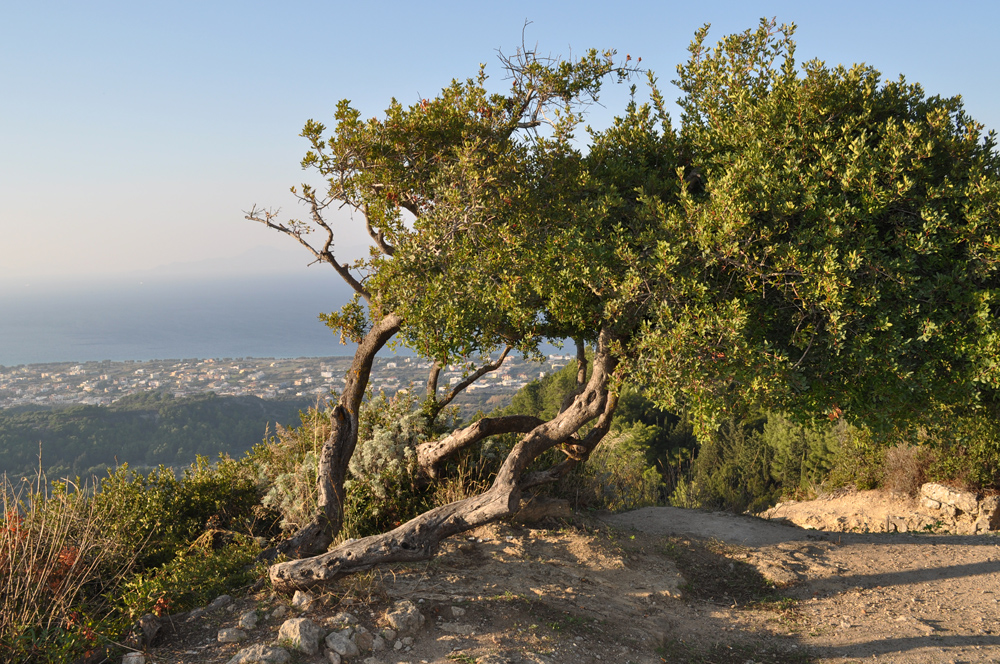 Natur und Landschaft auf Rhodos(1)