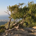 Natur und Landschaft auf Rhodos(1)