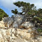 Natur und Landschaft auf Rhodos(2)