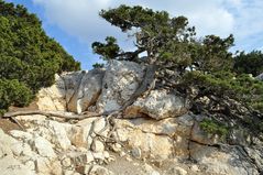 Natur und Landschaft auf Rhodos(2)