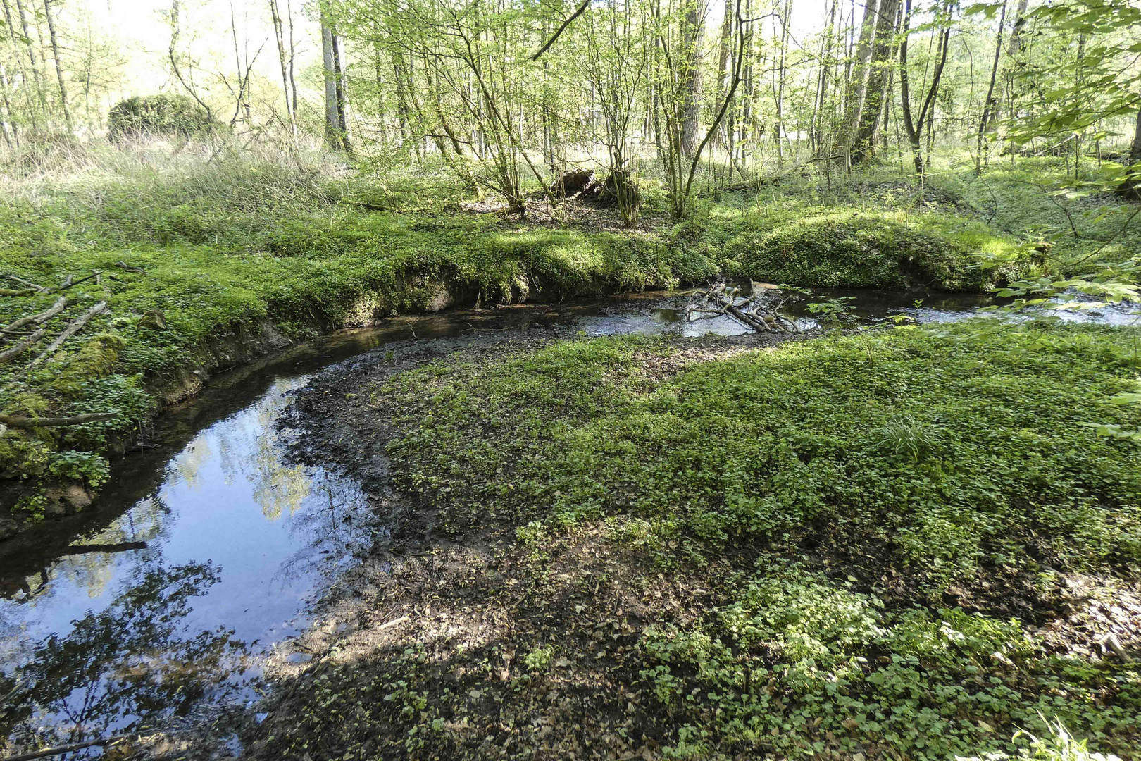 Natur und Landschaftspark rund um Wasserschloss Haus Marck--TECKLENBURG--