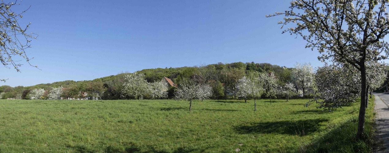 Natur und Landschaftspark rund um Wasserschloss Haus Marck--TECKLENBURG--