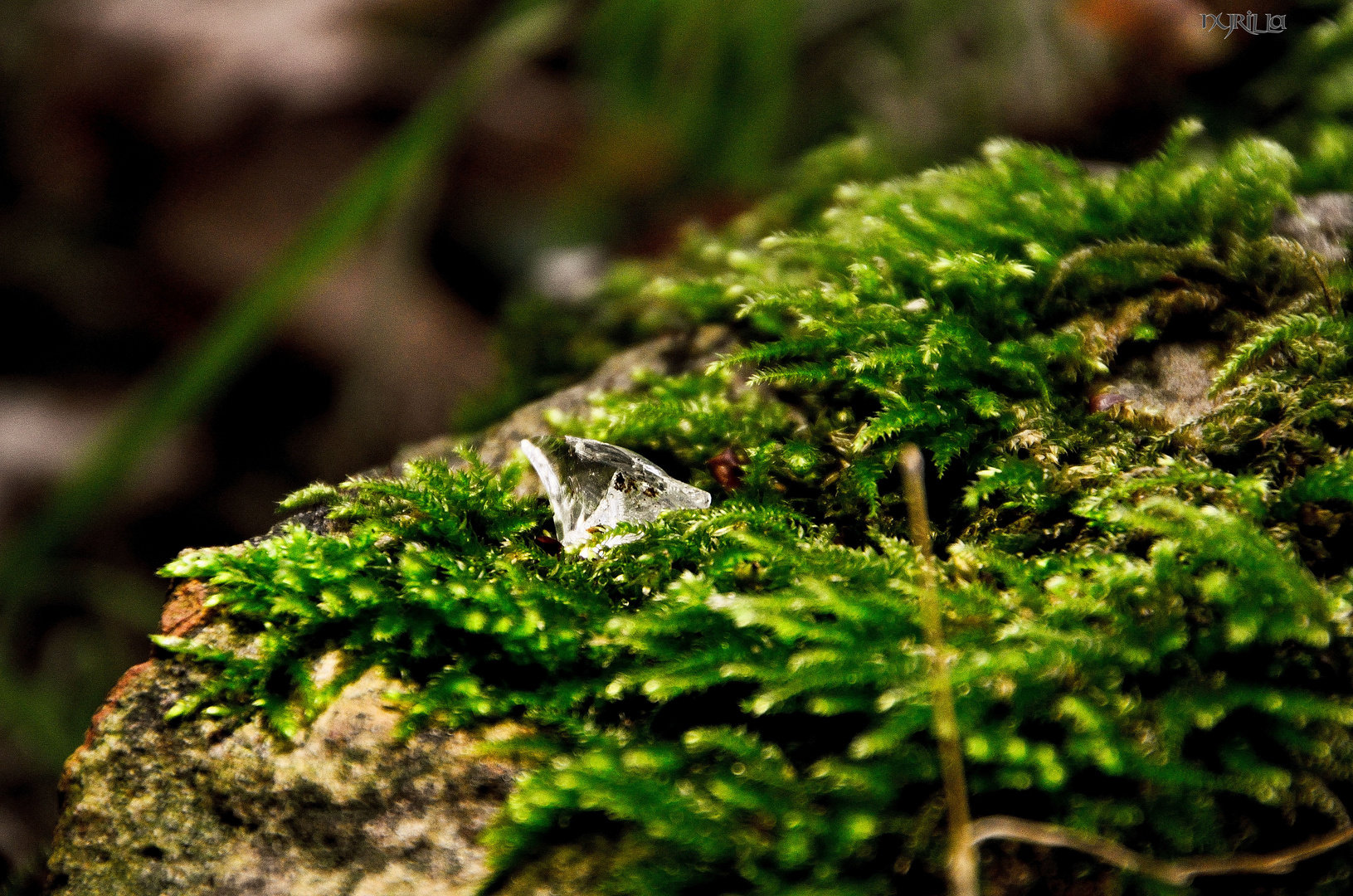 Natur und Mensch...