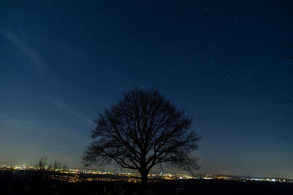 Natur und Stadt