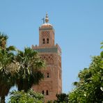 Natur und Stein in Marrakesch