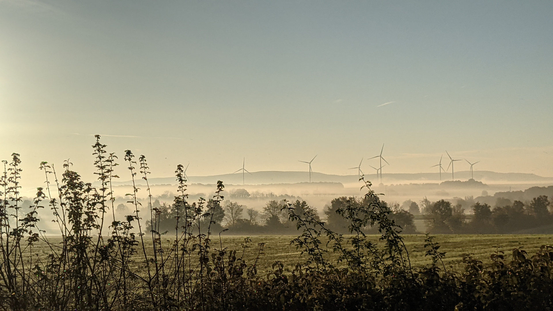 Natur und Strom 