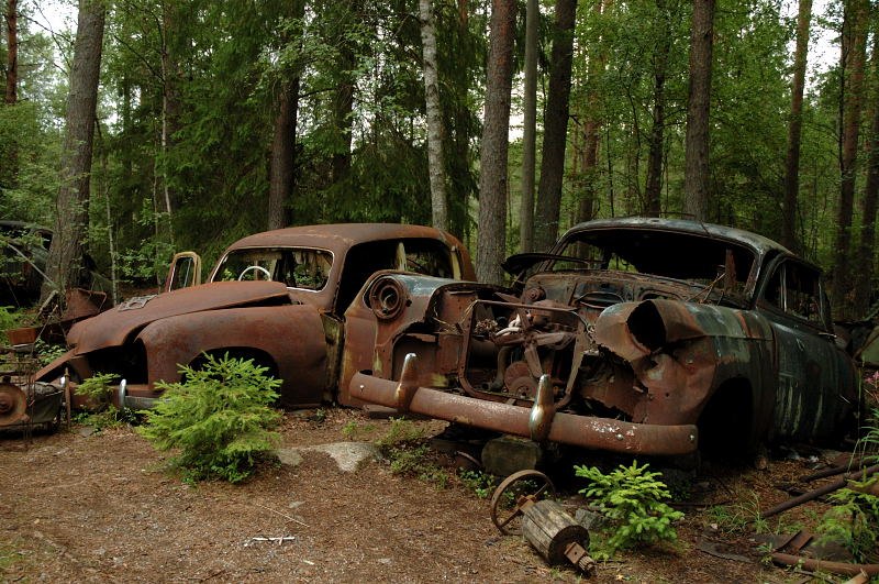 Natur und Technik von Bernd Hohenstein