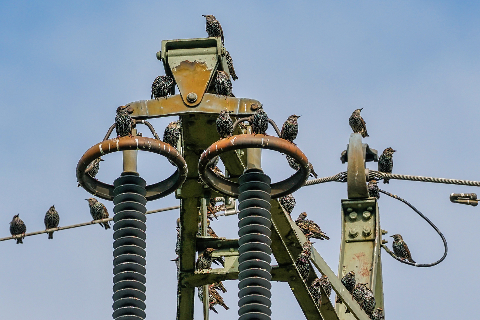 Natur und Technik