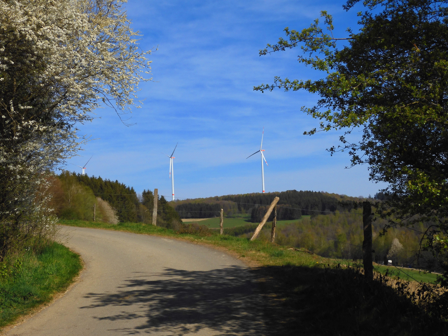 Natur und Technik