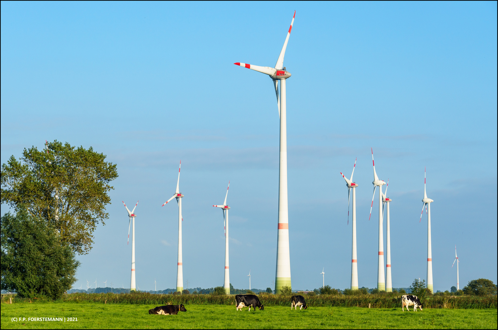 Natur und Technik