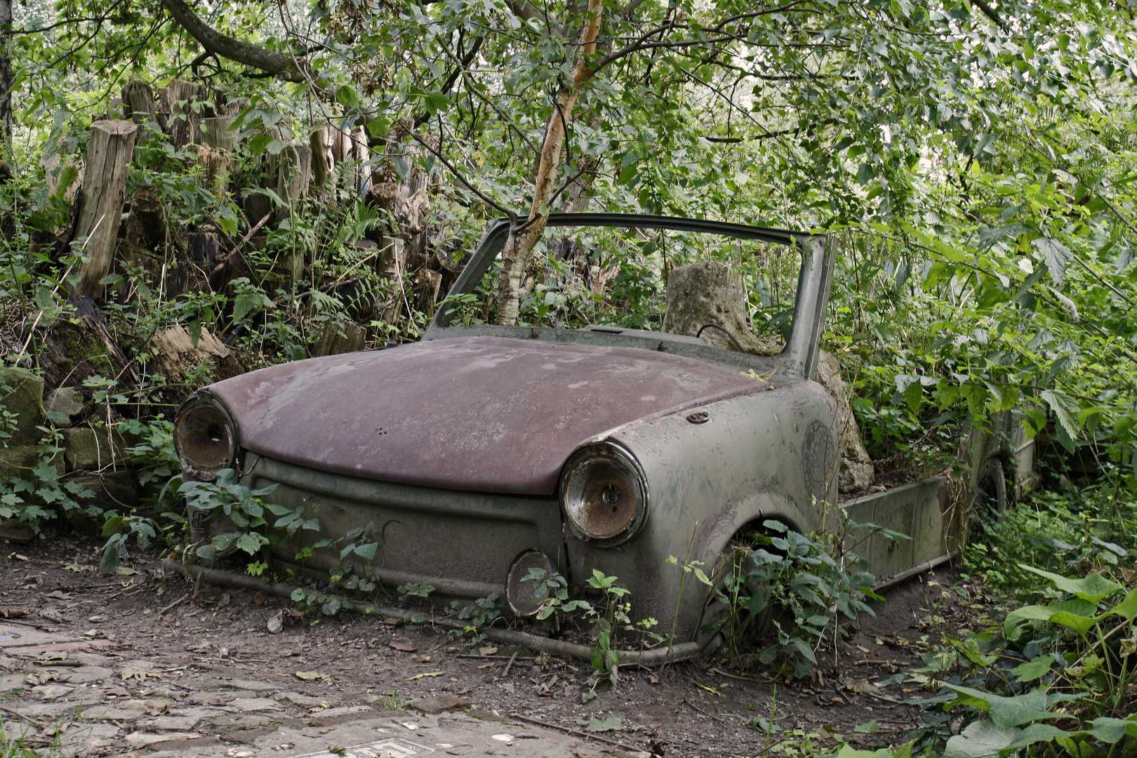 Natur und Technik