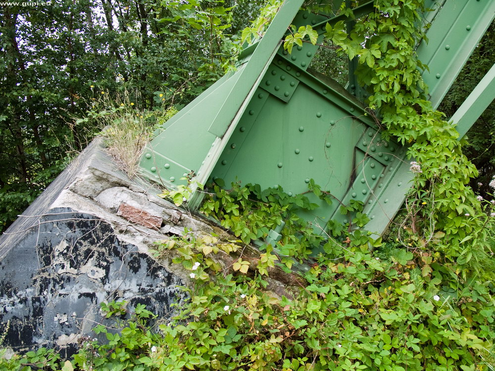 Natur und Technik