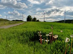 Natur und Technik