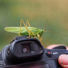 Natur und Technik